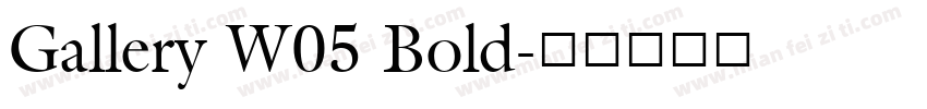 Gallery W05 Bold字体转换